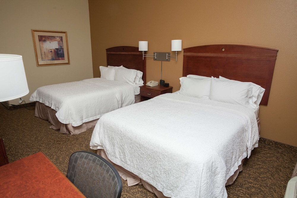 Hampton Inn Oneonta - photo 15