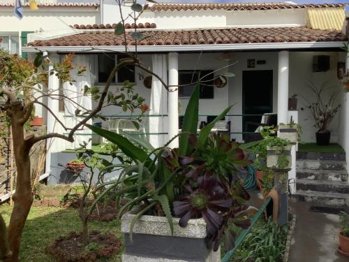 Oasis de Marie in Lagoa, Portugal