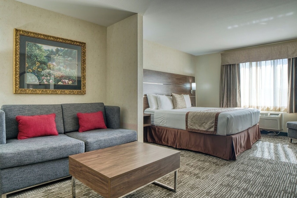 Evergreen Inn and Suites - photo 5