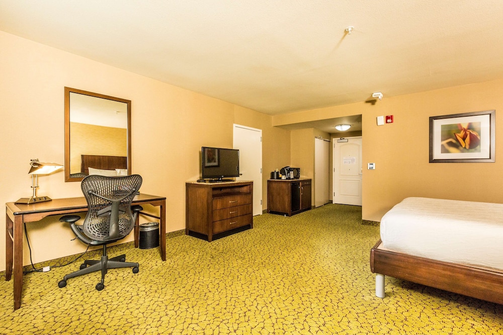 Hilton Garden Inn St. George - photo 15