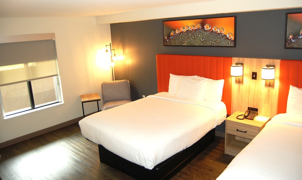 Vacation Lodge - photo 9