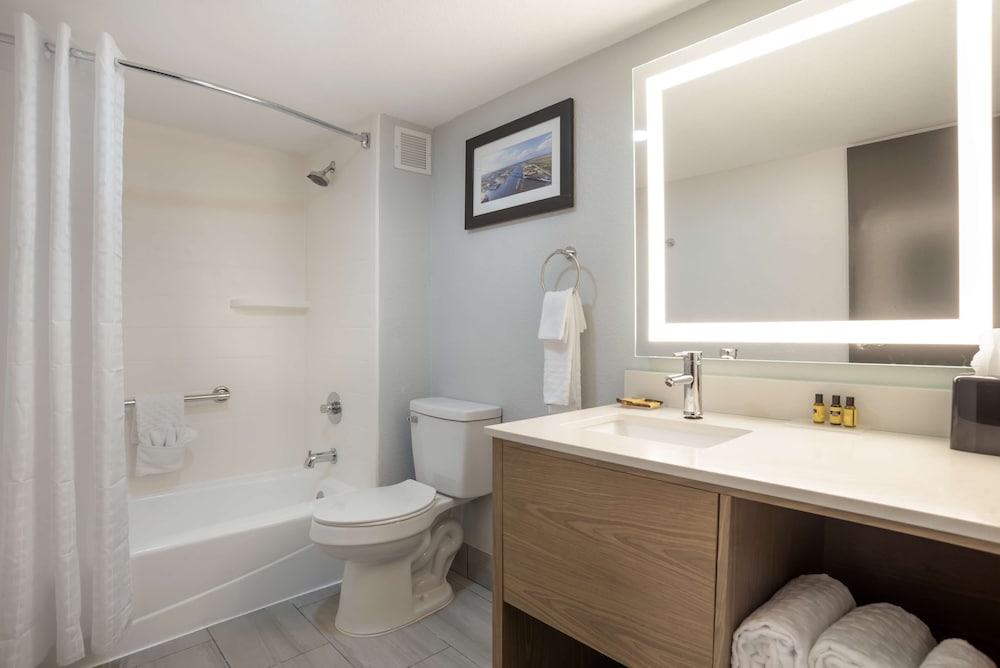 Best Western Plus Mobile Inn & Suites - photo 20