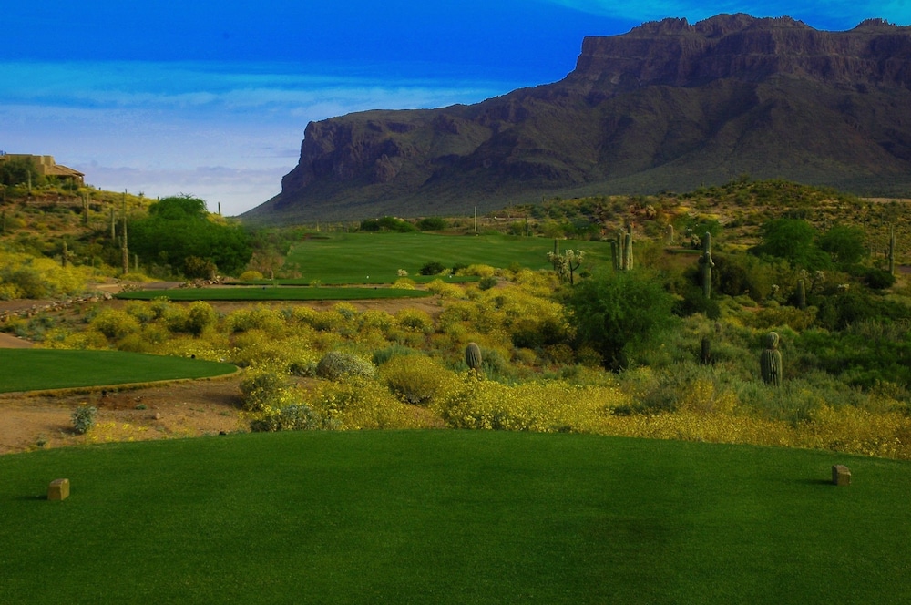 Gold Canyon Golf Resort & Spa - photo 34