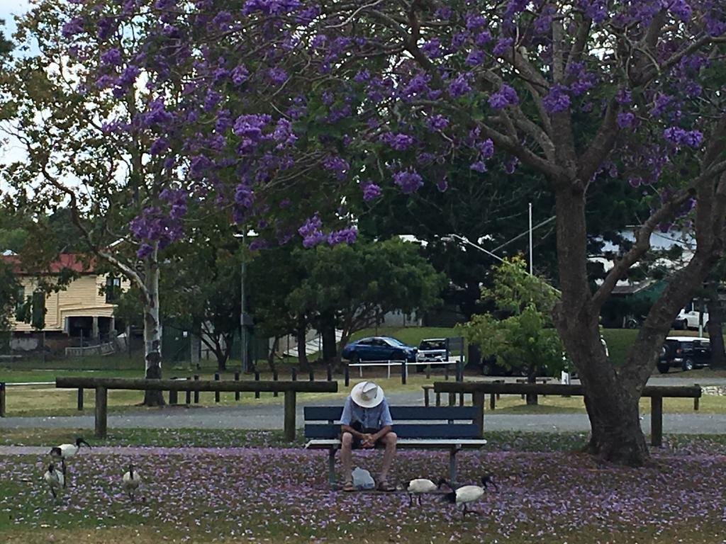 Mary River Motor Inn — hotel in Gympie