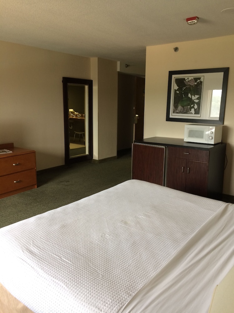 Capital Plaza Hotel - photo 11
