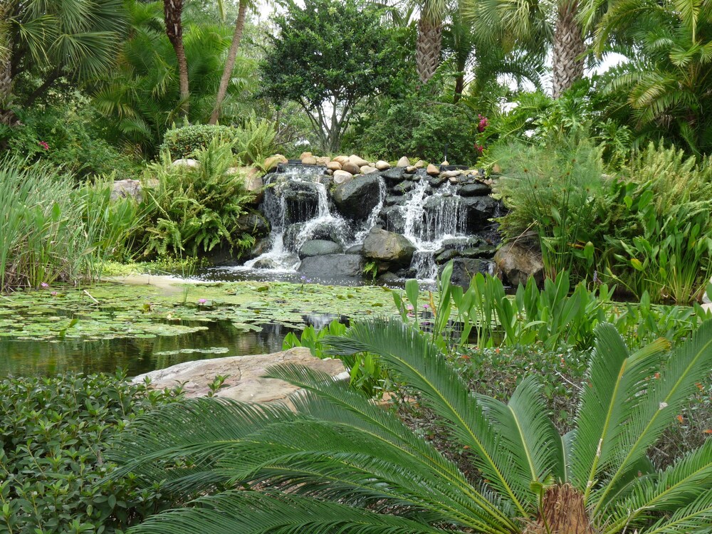Bahama Bay Resort Orlando - photo 58