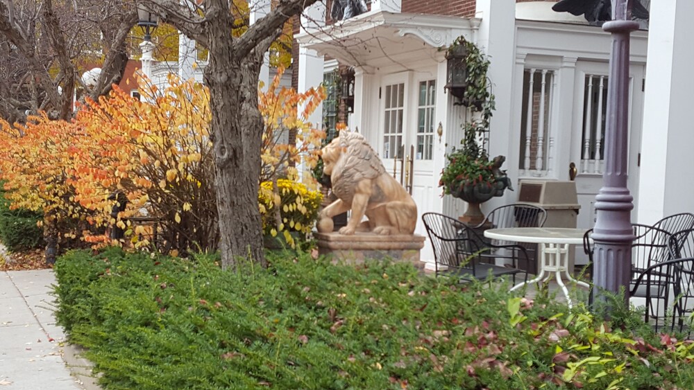 Lowell Inn - photo 161