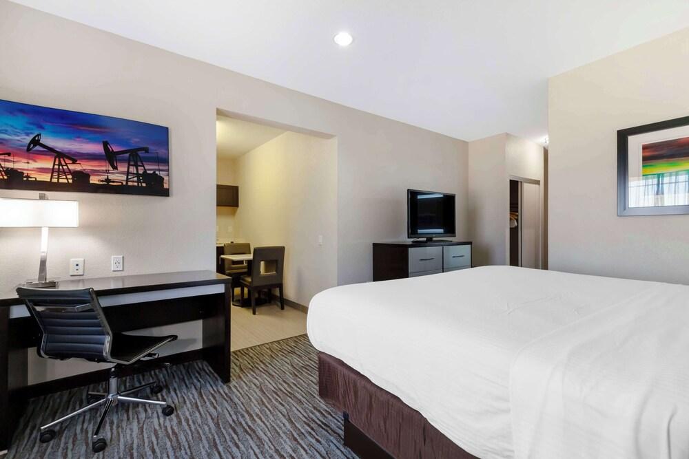 Best Western Plus Pleasanton Hotel - photo 11