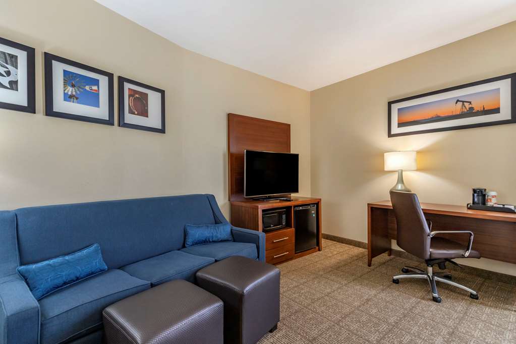 Comfort Suites Buda Austin South - photo 10