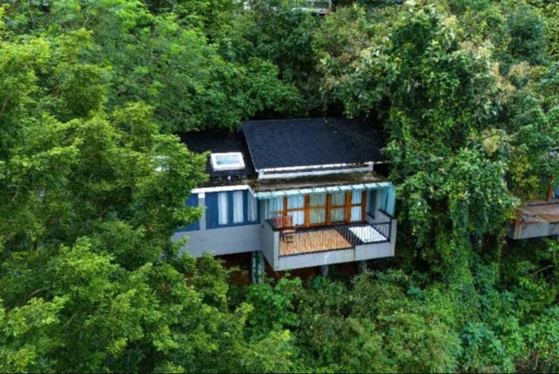 Silverwoods Resorts & Spa — Kozhikode — photo 3
