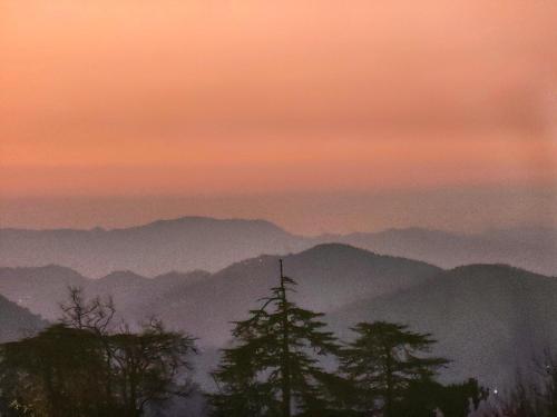 Tirupati Palace — Shimla — photo 5