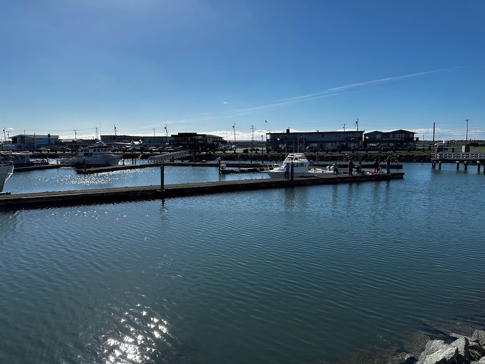 Westport Marina Cottages - photo 45