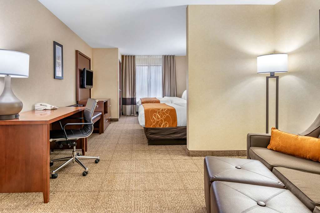 Comfort Suites Elkhart South - photo 23