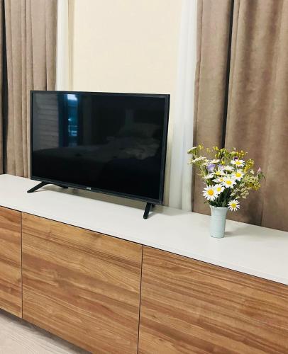 Vista Studio
