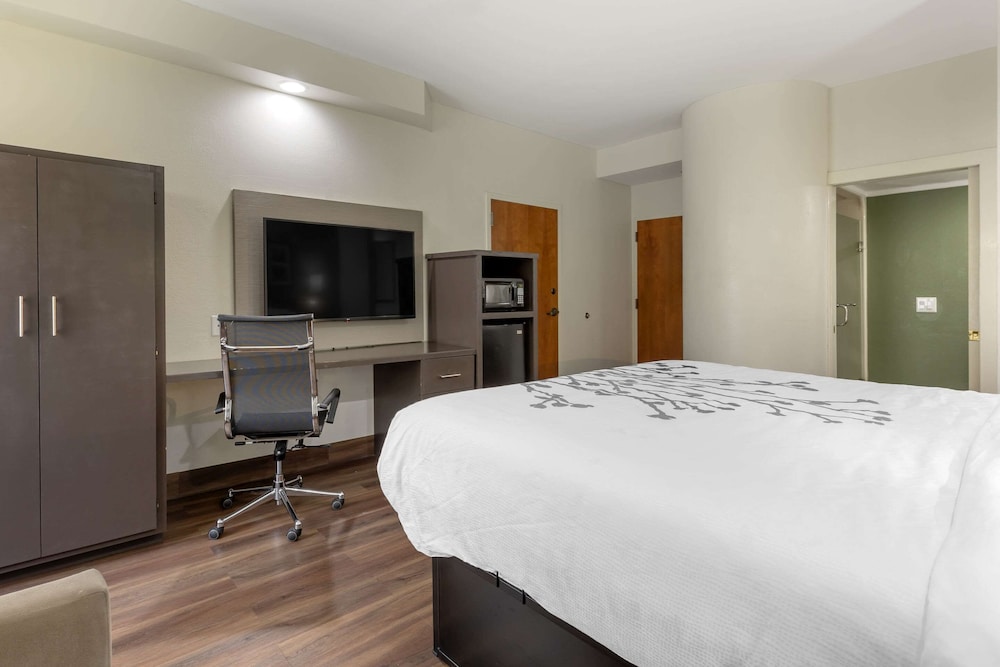 Sleep Inn Sumter - photo 25