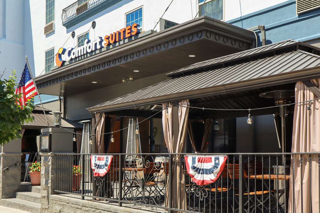 Comfort Suites Downtown Carlisle - photo 3