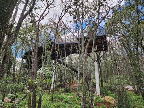 Cabaña Austral Punta del Bosque in Huasca De Ocampo, Mexico
