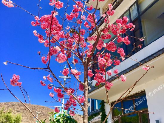 TaoHaiLiuHao - carbon neutral hotel in Dali