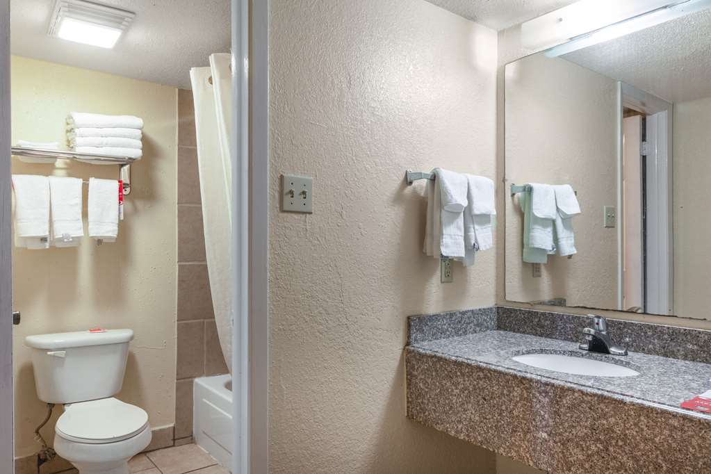 Econo Lodge San Marcos University Area - photo 12