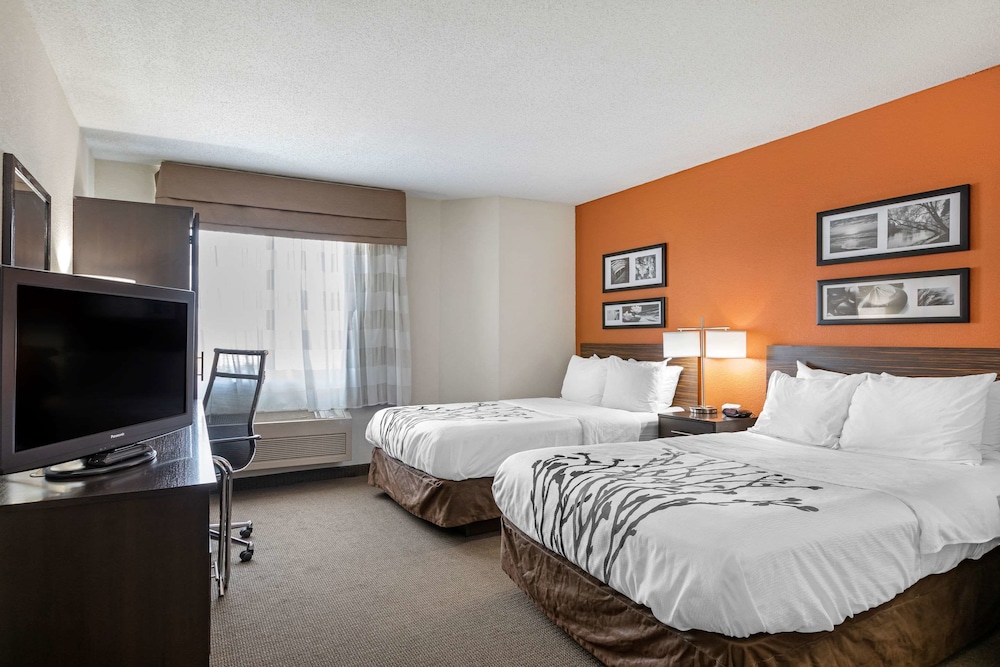 Sleep Inn Lansing North Dewitt - photo 5