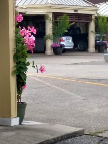 Southern Comfort Suites - photo 21
