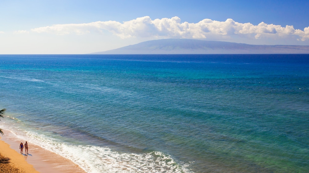 Maui Kai Condos No Resort Fees - photo 62