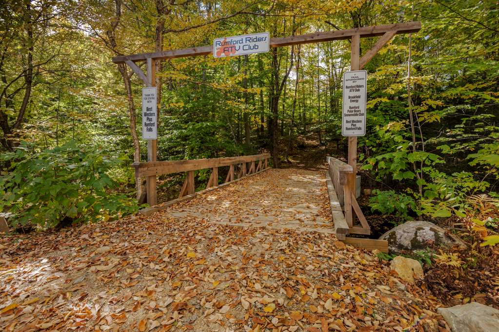 Best Western Plus Rumford Falls - photo 10