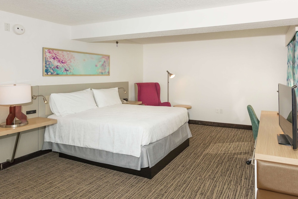 Hilton Garden Inn St. Augustine Beach - photo 19