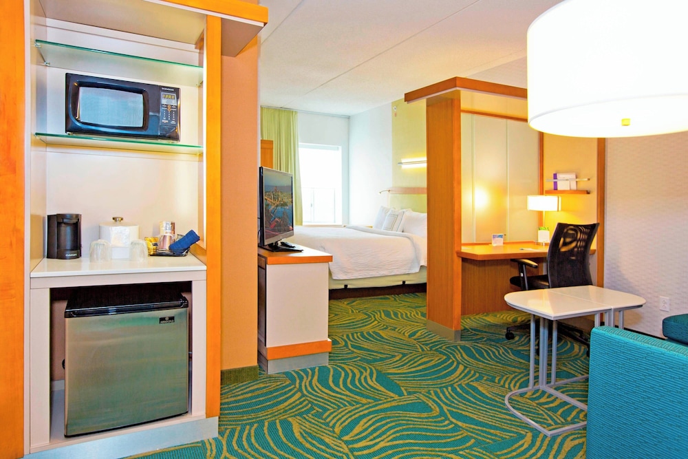 Springhill Suites by Marriott Pittsburgh Mt. Lebanon - photo 18