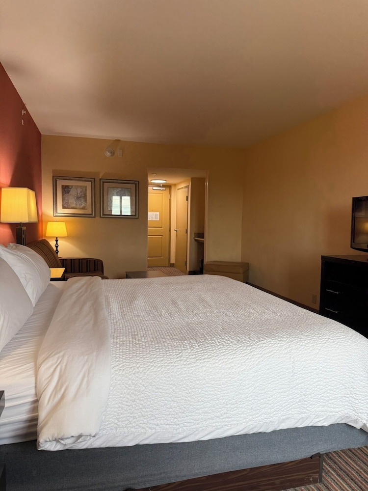 Holiday Inn Titusville Kennedy Space Center by IHG - photo 9
