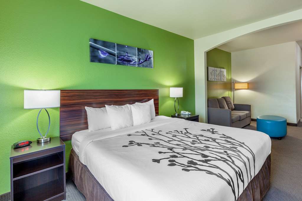 Sleep Inn & Suites Hewitt South Waco - photo 13