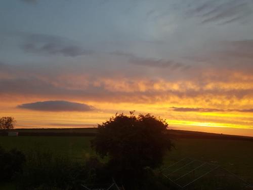 Treweryn in Llandysul, United Kingdom