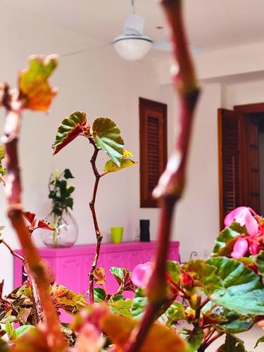 A Casa da Mammi — 4-Star Luxury Hotel in Palermo, Italy