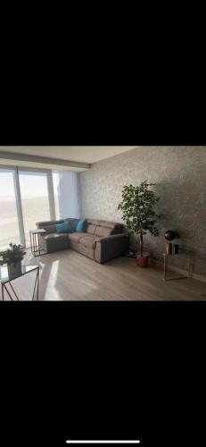 Admant 1706 in Tijuana, Mexico