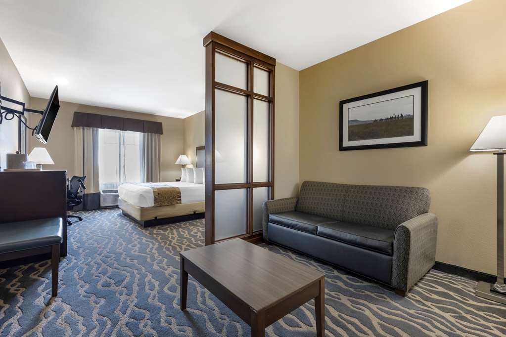 Best Western Plus Fort Stockton Hotel - photo 7
