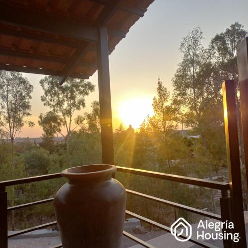 103 Arje Suites Campestre by Alegría Housing — Las Pilas — photo 2
