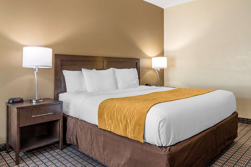Comfort Inn & Suites Cincinnati Uptown Clifton - photo 6
