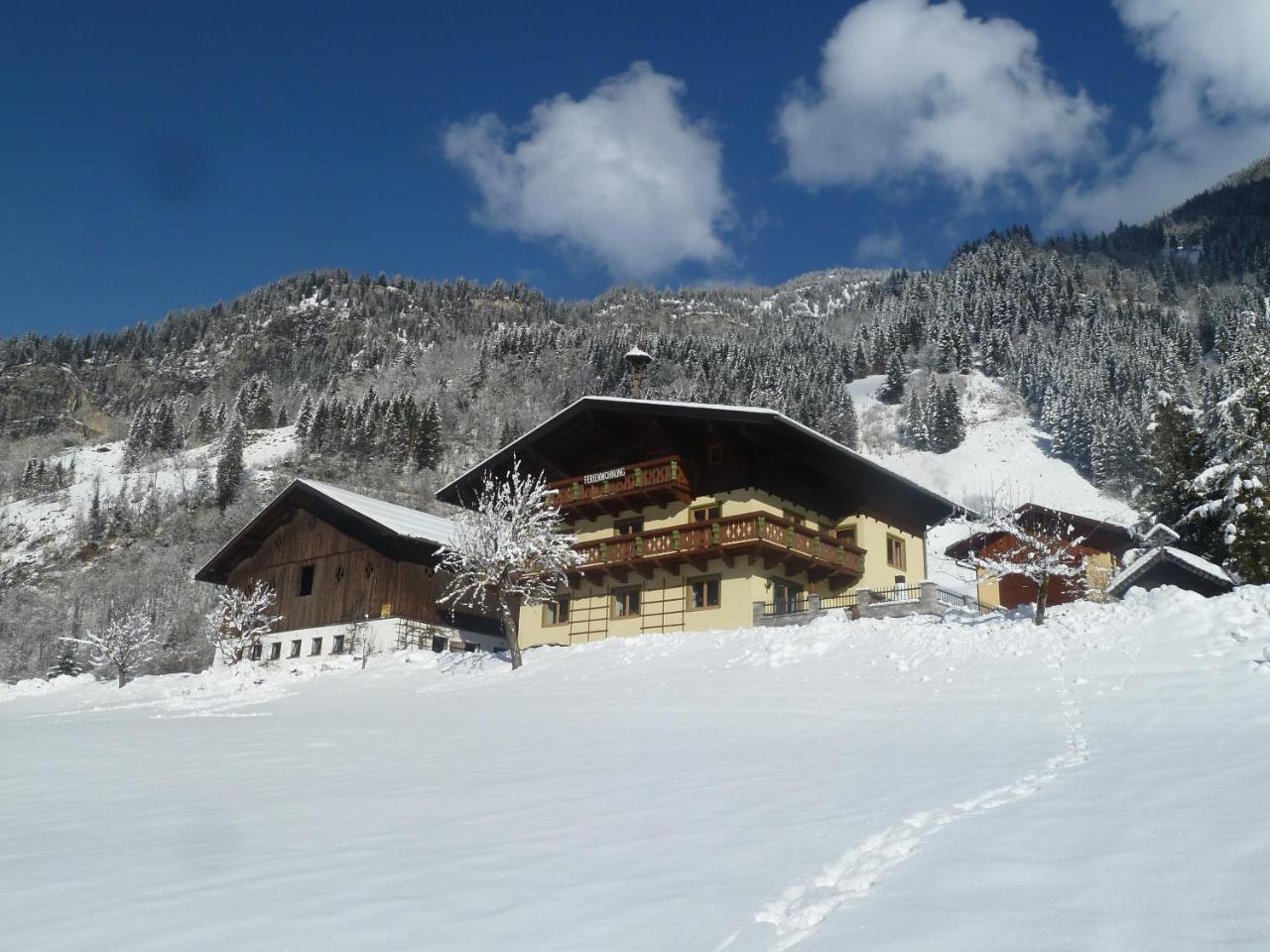 Rainerhof in Dorfgastein, Austria