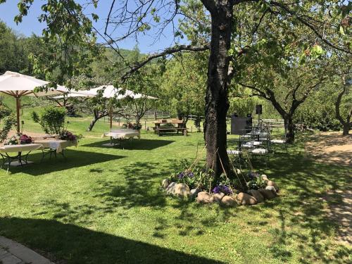 Ca di Voi — Calizzano — photo 4
