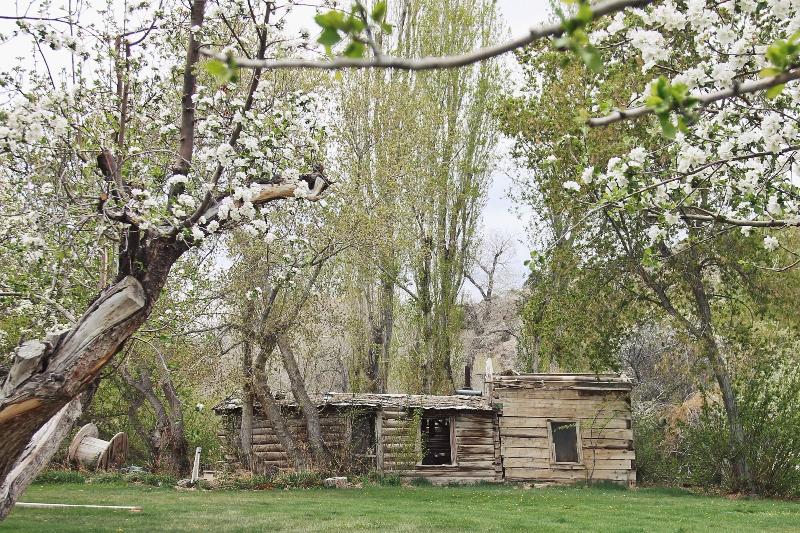 Hidden Canyon Retreat - photo 3