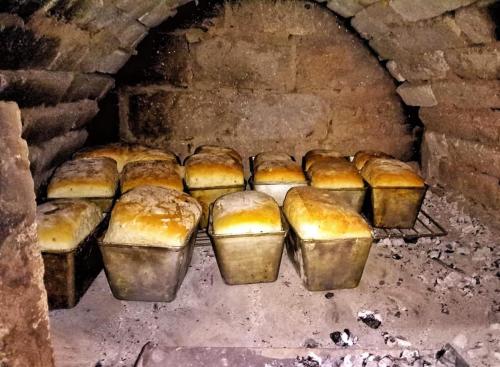 U Dvori in Truskavets', Ukraine