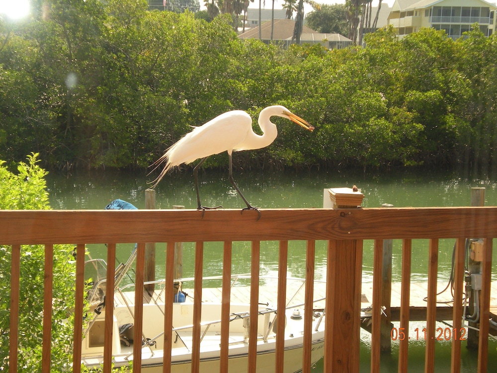A Beach Retreat - photo 130
