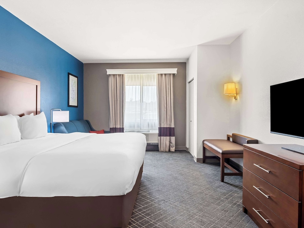 Comfort Suites Lindale Tyler North - photo 21