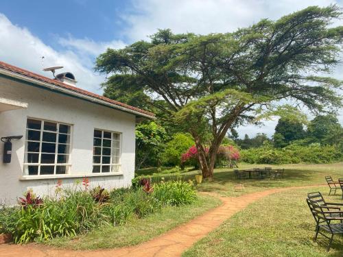 Marangu Hotel in Unknown City, Tanzania