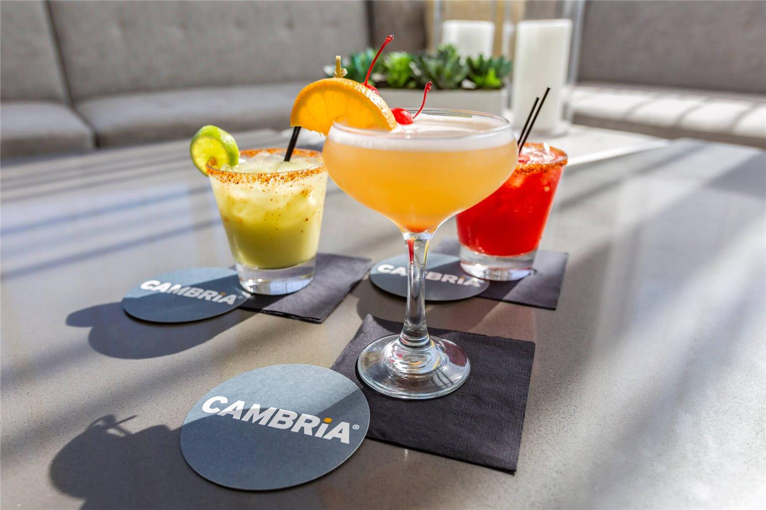 Cambria Hotel LAX - photo 75