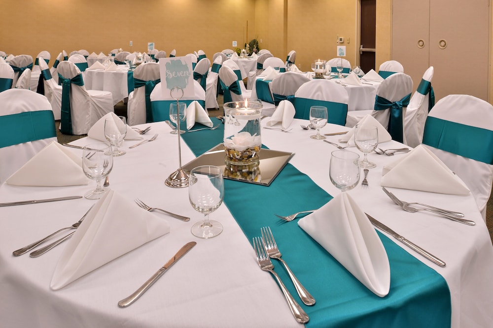 Holiday Inn Madison at The American Center by IHG - photo 50