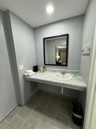 River Palm Hotel - photo 11