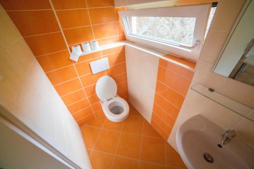 Hotel Rakitna — Brezovica Pri Ljubljani — photo 5