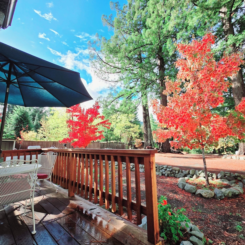 Miranda Gardens Resort - photo 102