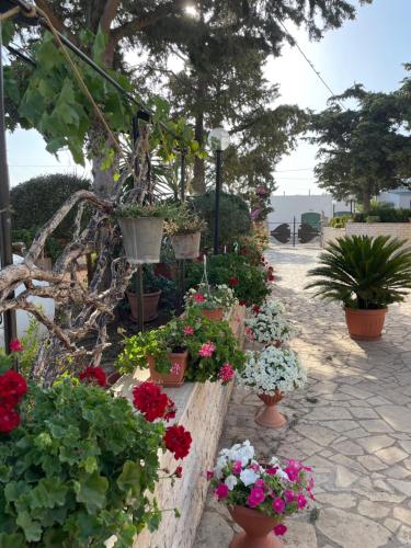 casa Belcolle — 4-Star Luxury Hotel in Putignano, Italy